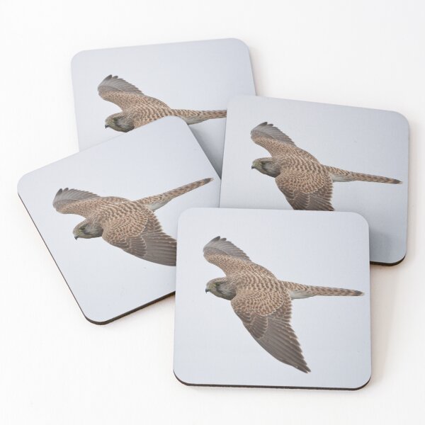 Item preview, Kestrel in Flight designed and sold by ClaireChown.