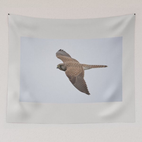 Item preview, Kestrel in Flight designed and sold by ClaireChown.