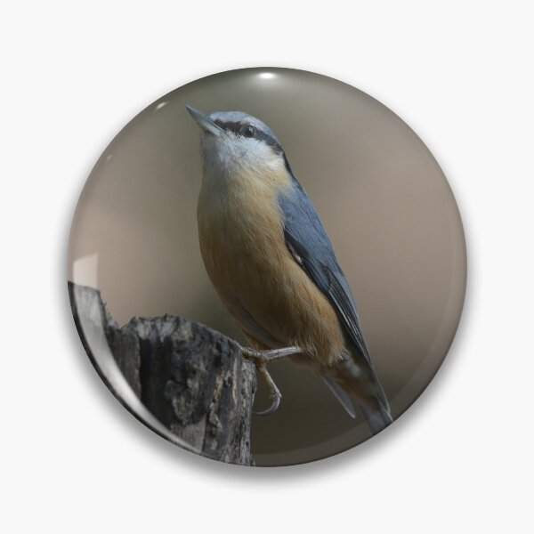 Item preview, Nuthatch on tree stump designed and sold by ClaireChown.