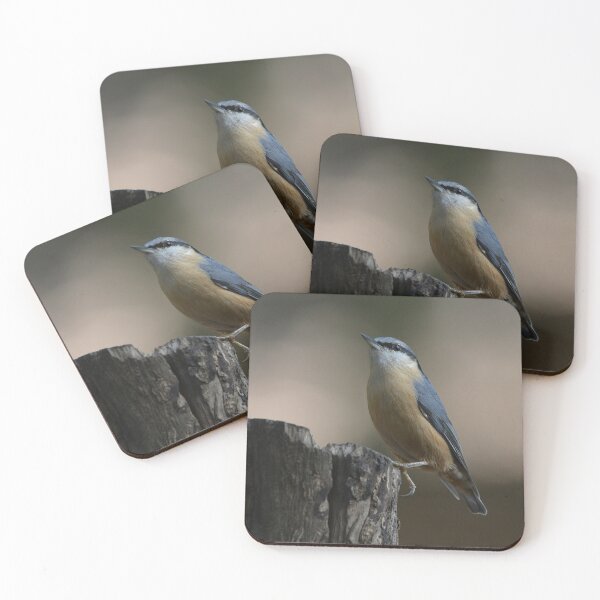 Item preview, Nuthatch on tree stump designed and sold by ClaireChown.
