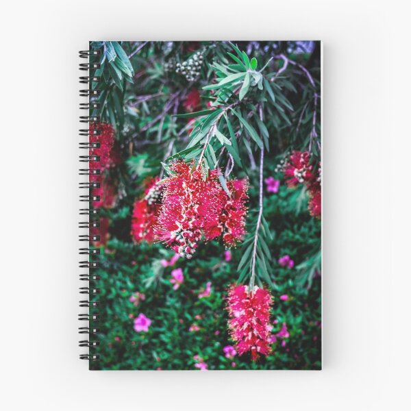 Item preview, Tokyo in May: Carmine Callistemon designed and sold by Chancelrie.