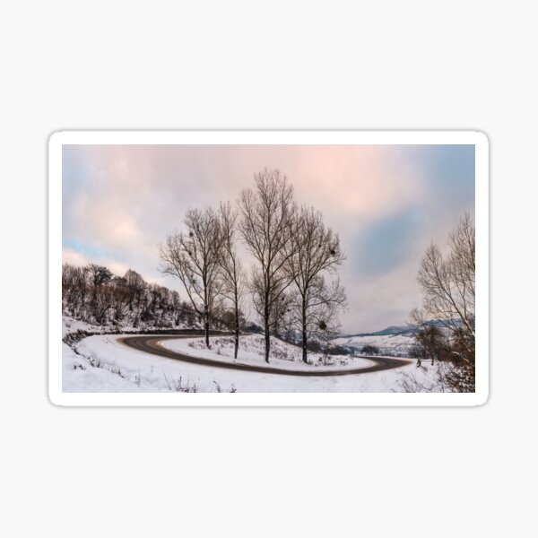 trees on serpentine on winter morning Sticker