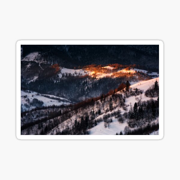 spot of morning light on hillside with forest Sticker