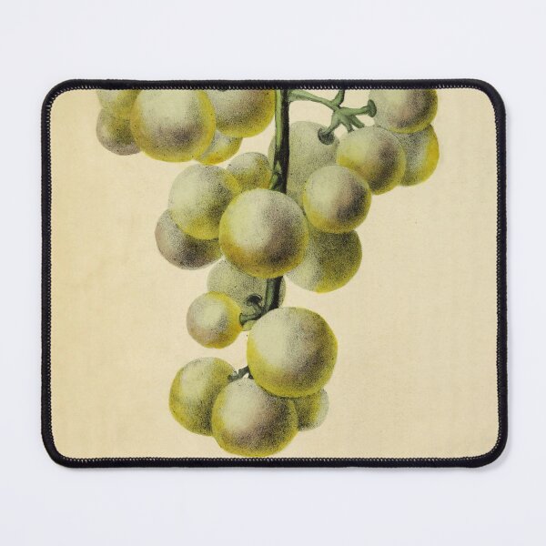 Item preview, Vintage Green Grape Horticultural review (1850) designed and sold by ptMaker.