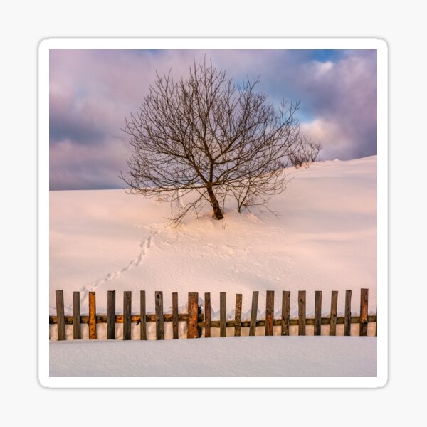 lonely tree on snowy hillside behind the fence Sticker