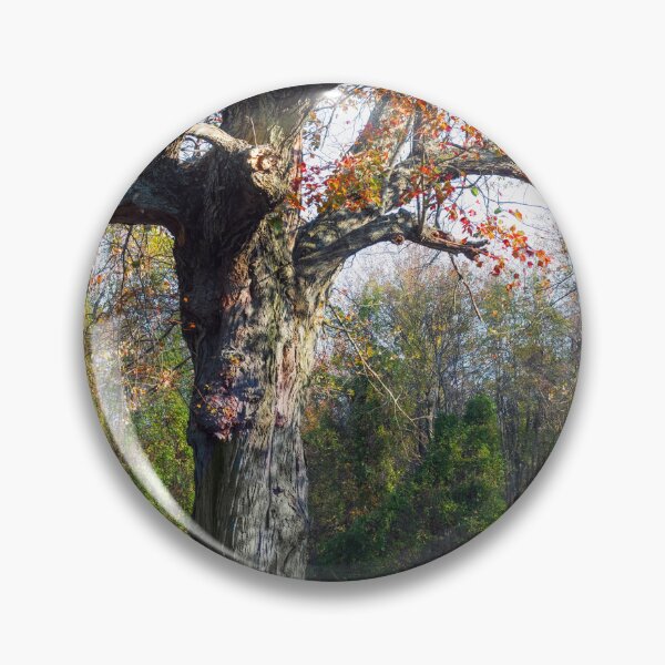 Item preview, Autumn Trunk designed and sold by AndyKazie.