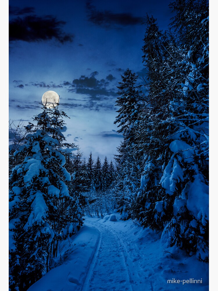 Thumbnail 3 of 3, Sticker, path through spruce forest in winter at night designed and sold by mike-pellinni.