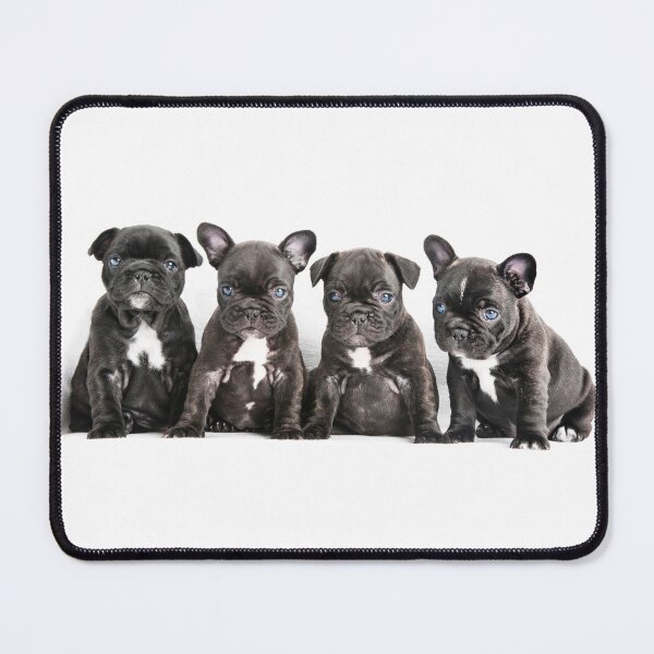 Item preview, Four Frenchies designed and sold by ernest123.