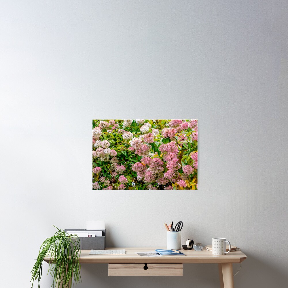 Item preview, Poster designed and sold by barkeypf.