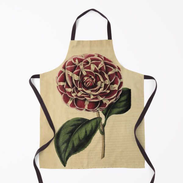 Item preview, Vintage Camellia Archidushesse Augusta Horticultural review (1850) designed and sold by ptMaker.