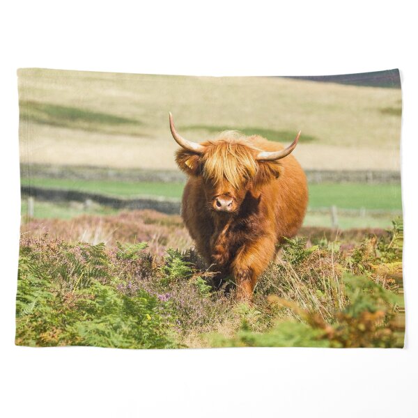 Highland Cow Straw Topper Cattle Ranch Fits Stanley 