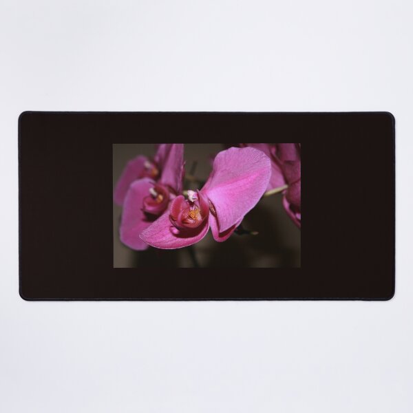 Item preview, Orchid  designed and sold by LauraBalducci.