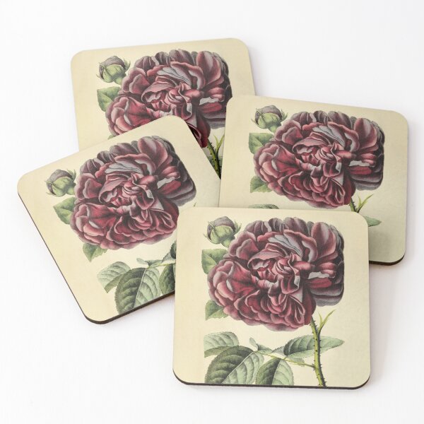 Artikelvorschau, Vintage Rose Genie De Chateaubriand Gartenbau Rezension (1850) entworfen und verkauft von ptMaker.
