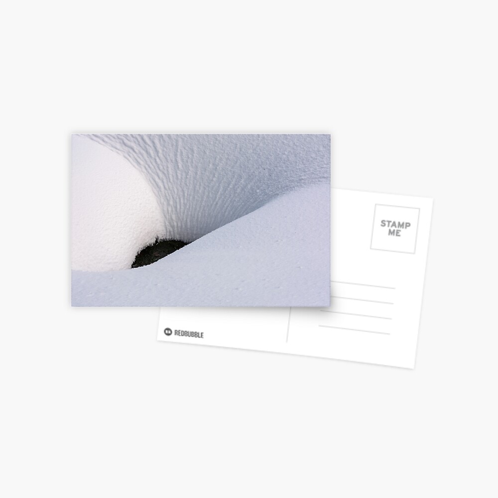 Item preview, Postcard designed and sold by mike-pellinni.