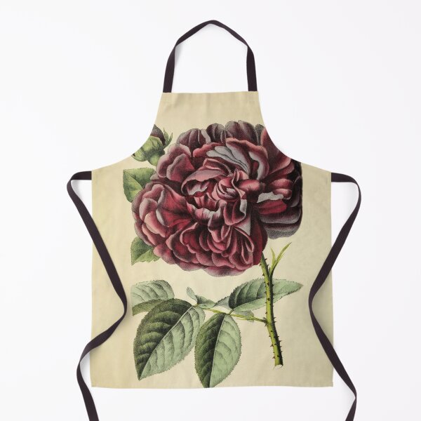 Item preview, Vintage Rose Genie De Chateaubriand Horticultural review (1850) designed and sold by ptMaker.