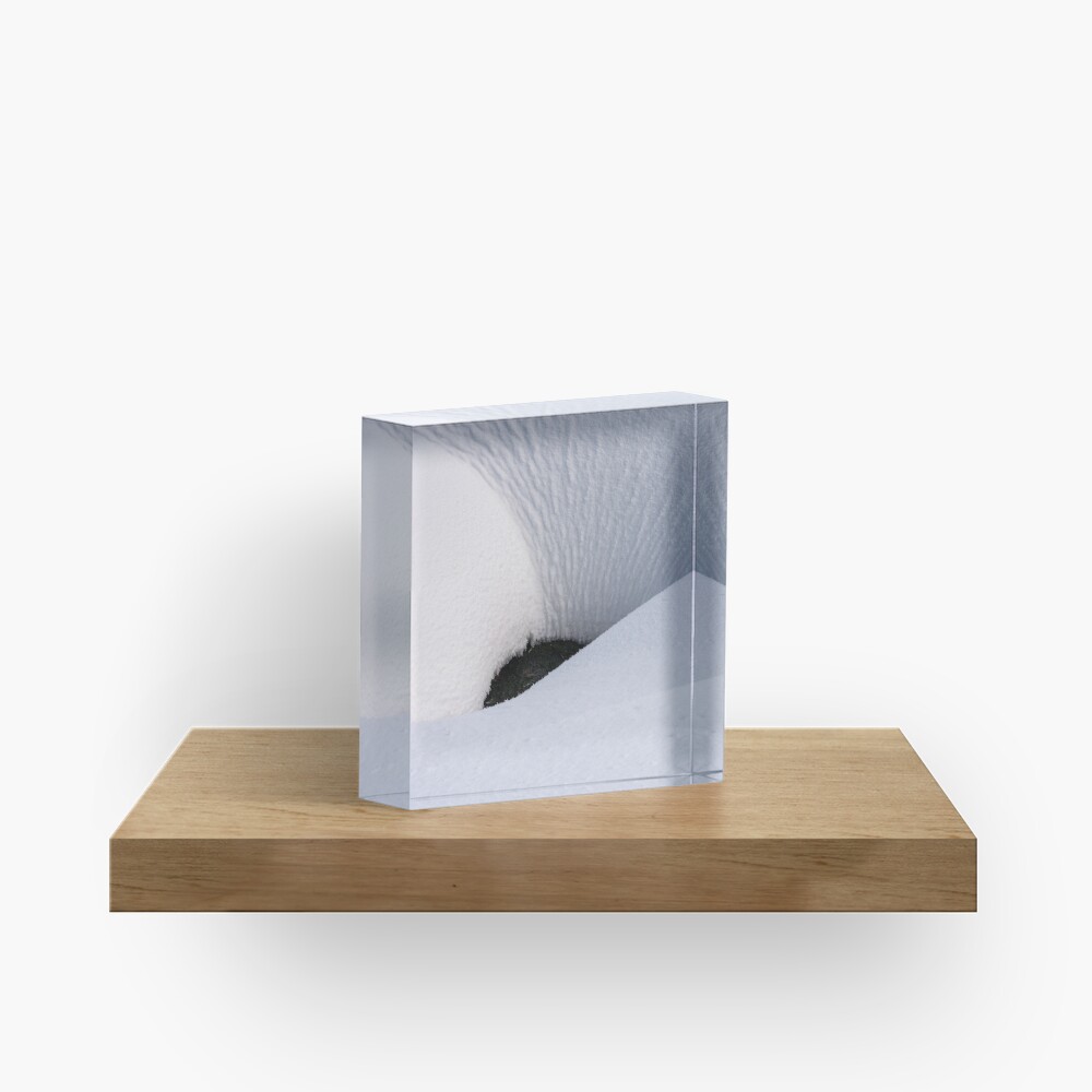 Item preview, Acrylic Block designed and sold by mike-pellinni.