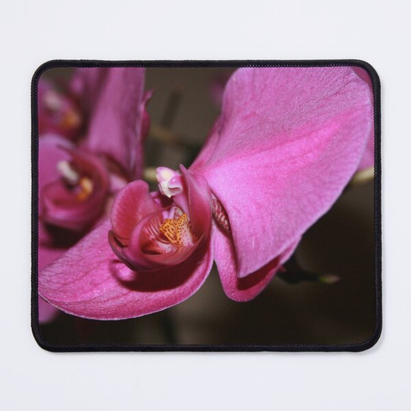 Item preview, Orchid  designed and sold by LauraBalducci.