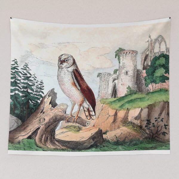 Item preview, The Barn Owl designed and sold by louisxvpod.