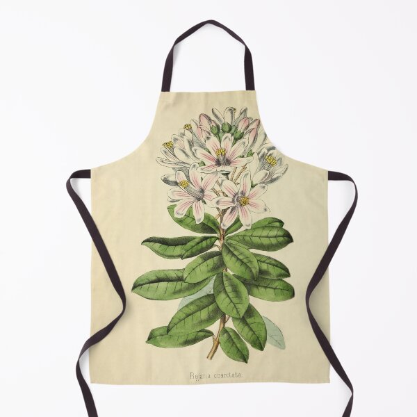 Item preview, Vintage Bajaria Constricta Horticultural review (1850) designed and sold by ptMaker.