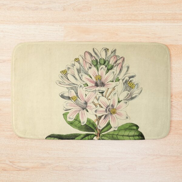 Item preview, Vintage Bajaria Constricta Horticultural review (1850) designed and sold by ptMaker.