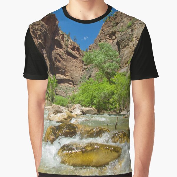 Vista previa del artículo con la obra «El río virgen en el Parque Nacional Zion», diseñado y vendido por sccaldwell.