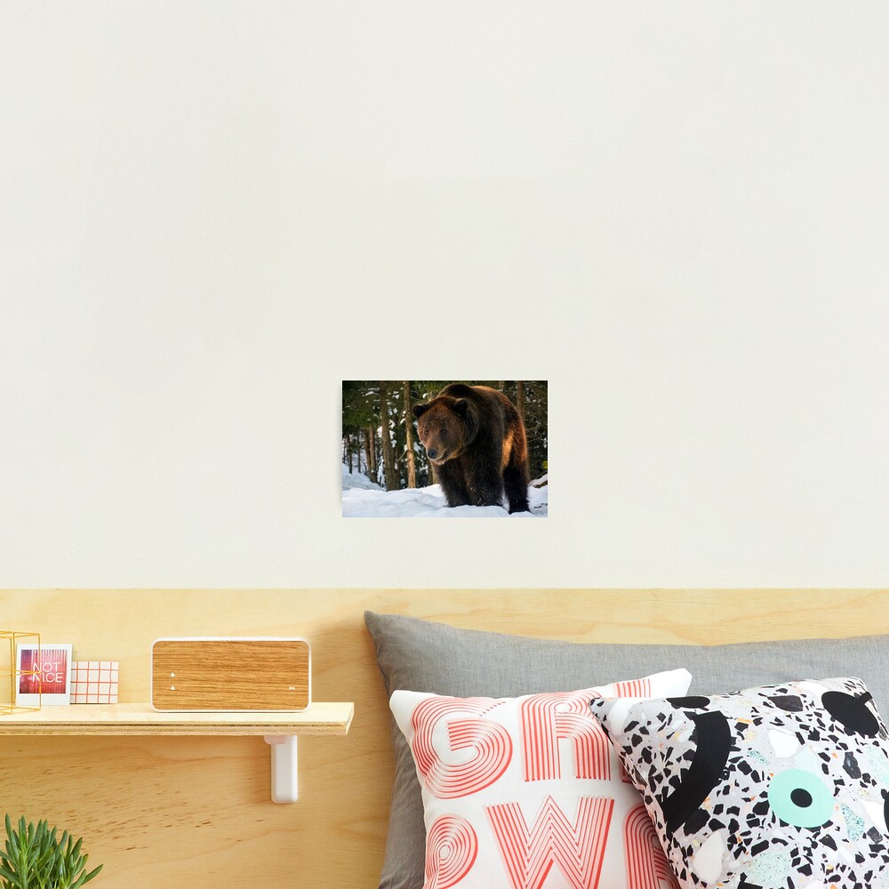 Item preview, Photographic Print designed and sold by mike-pellinni.