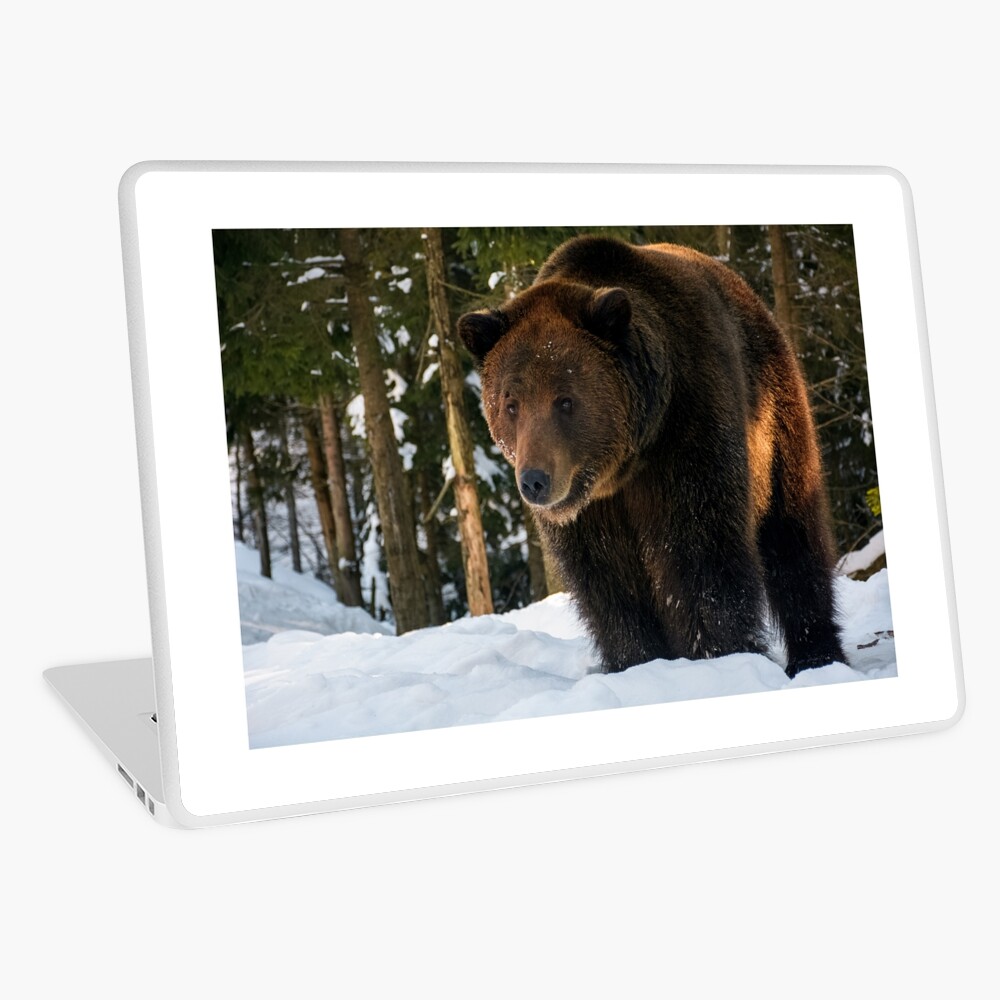 Item preview, Laptop Skin designed and sold by mike-pellinni.