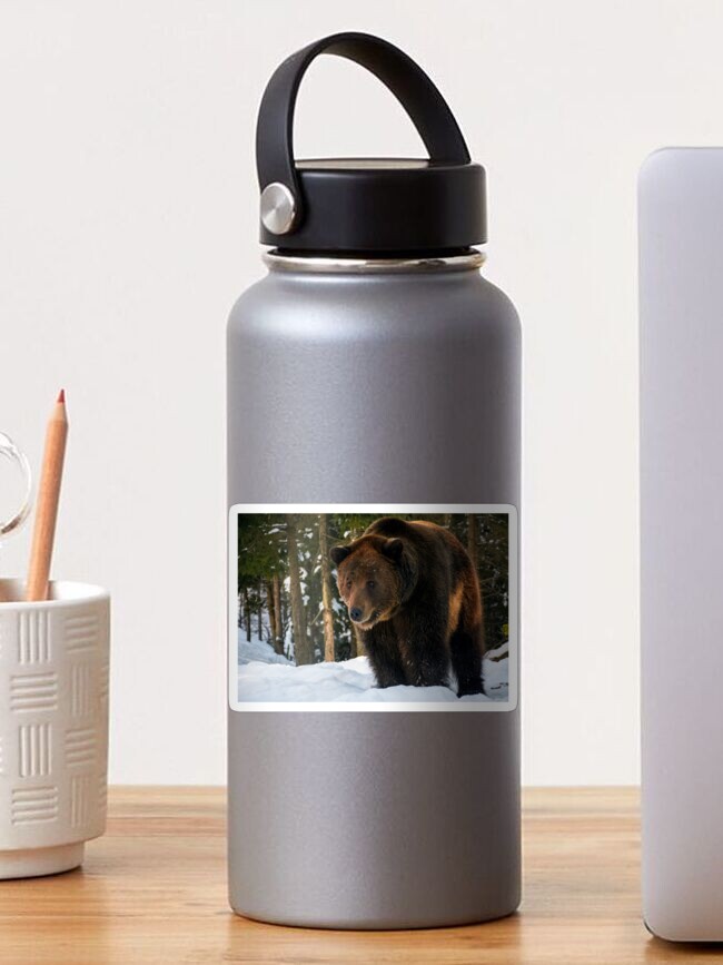 Thumbnail 1 of 3, Sticker, old brown bear stand in the winter forest designed and sold by mike-pellinni.