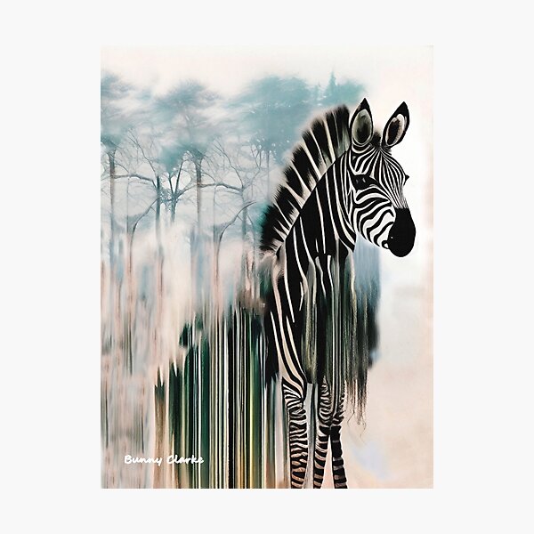Blending In Photographic Print