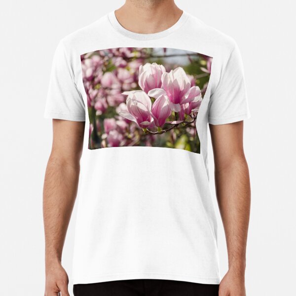 Magnolia flower blossom in spring Premium T-Shirt