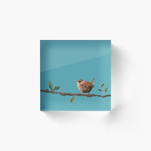 Jenny Wren Acrylic Block