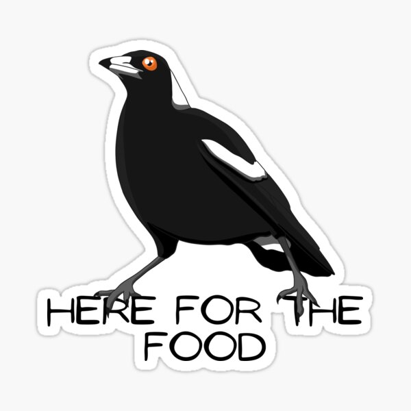 Item preview, Here for the food! Cheeky Australian magpie designed and sold by aussiemaggieluv.