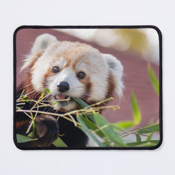 Item preview, Happy Panda designed and sold by Raven-Creative.