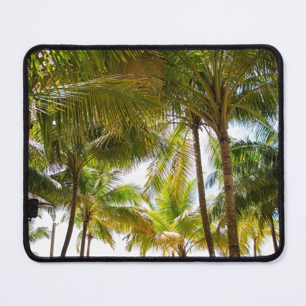 Item preview, Exotic Palm Trees, Tropical Island Palm Leaf designed and sold by newburyboutique.