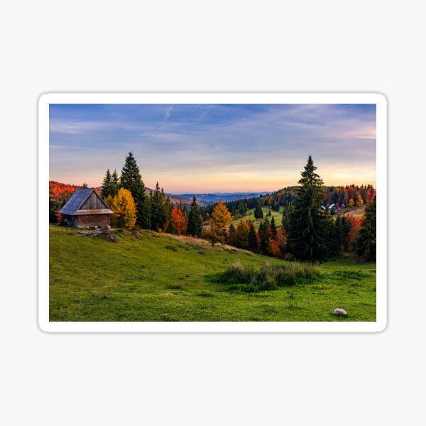 woodshed and trees on hillside meadow at sunset Sticker
