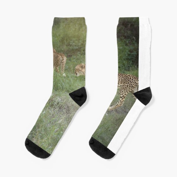 2 Cheetahs Socks