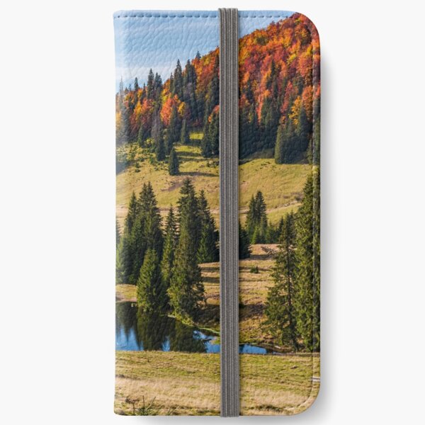 Pond in Carpathian mountains in autumn iPhone Wallet