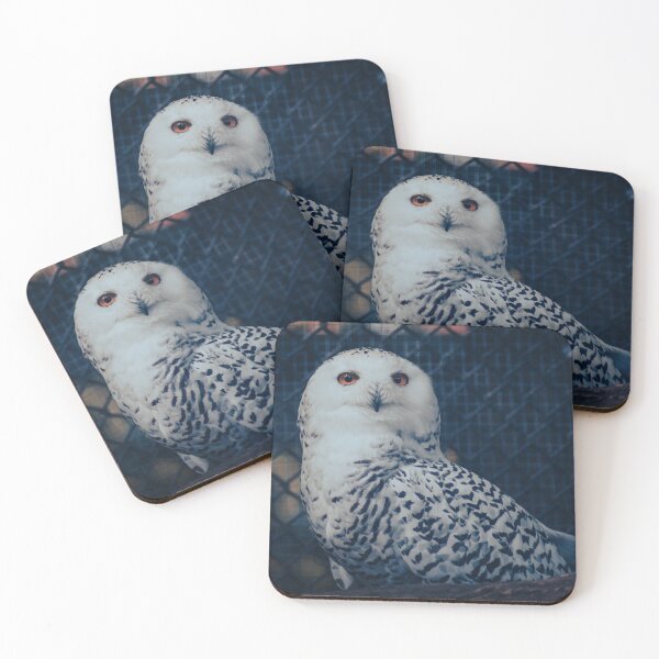 Item preview, Búho designed and sold by Raven-Creative.