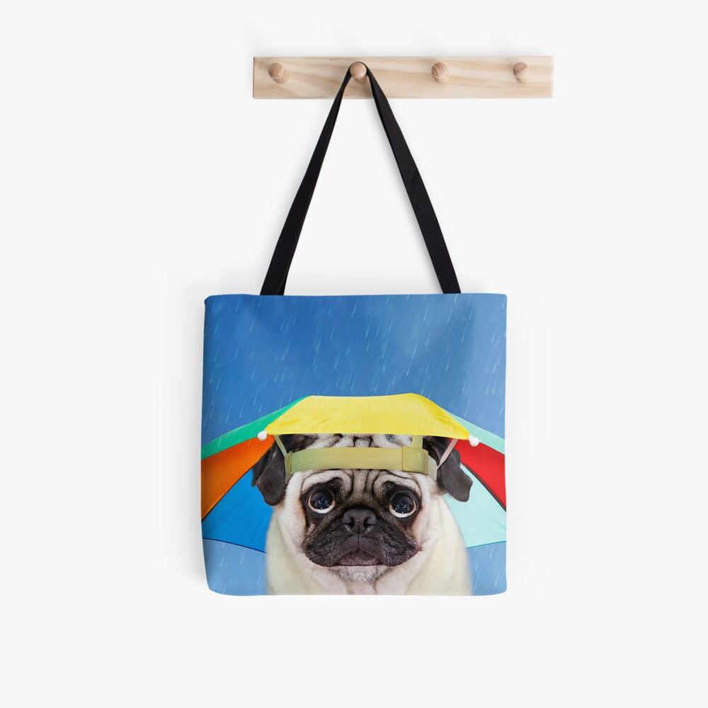 pug in bag
