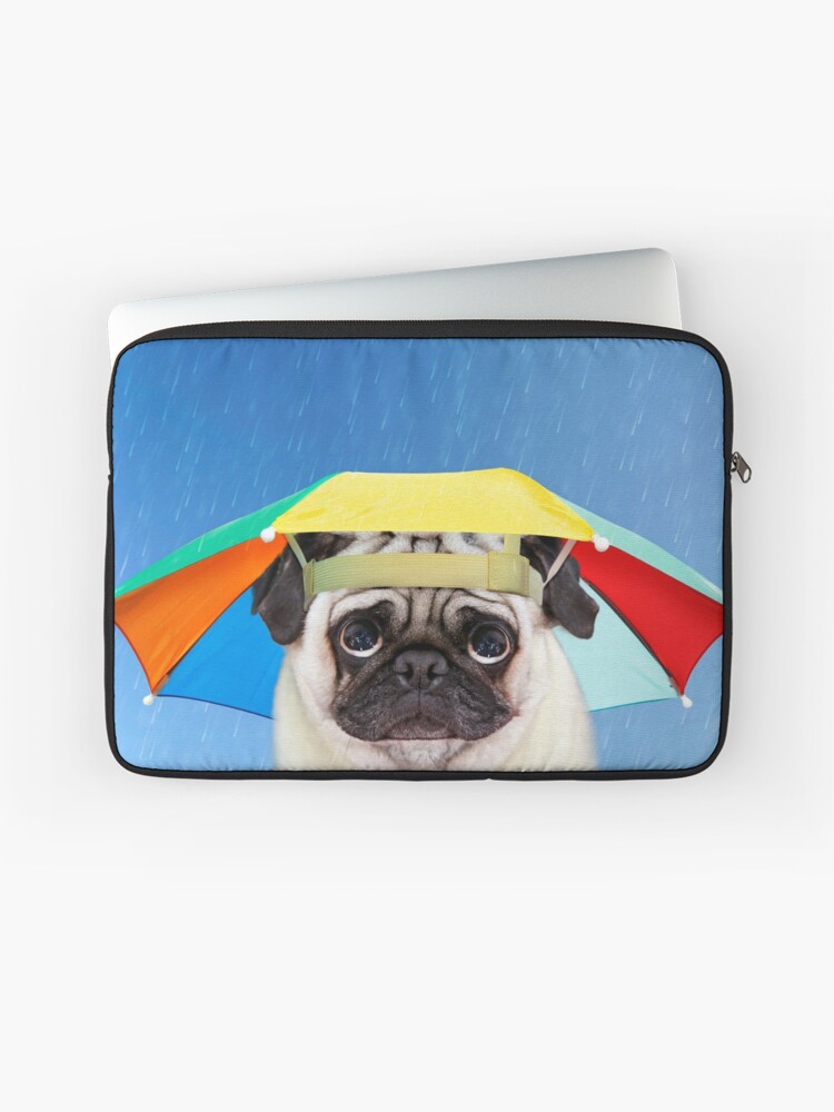 dog umbrella hat