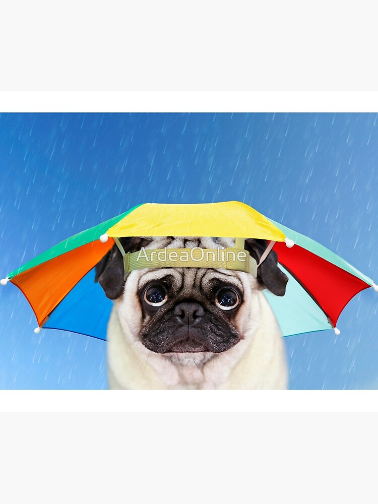 Pug umbrella clearance