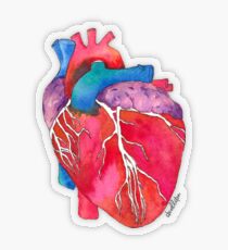 Anatomisches Herz Transparenter Sticker