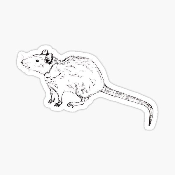 Item preview, White rat, artwork designed and sold by elsabajracharya.