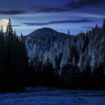 Artwork thumbnail, spruce forest in mountains at night by mike-pellinni