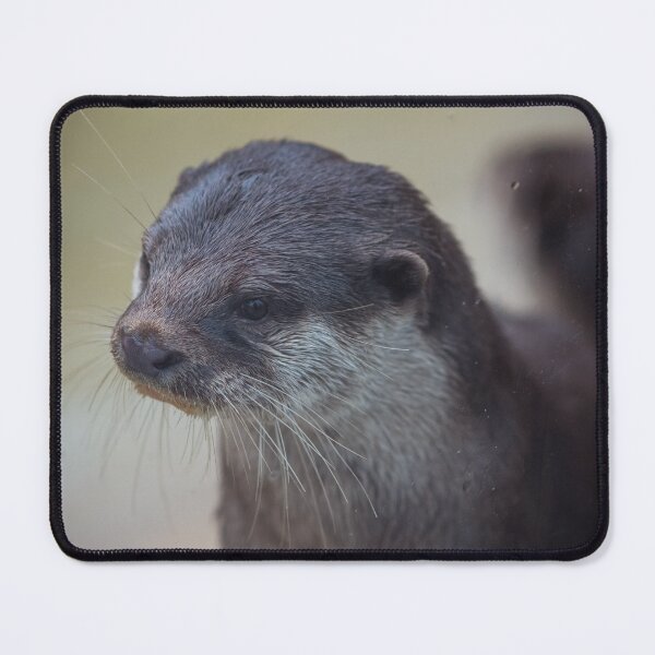 Item preview, Otter Glance designed and sold by Raven-Creative.