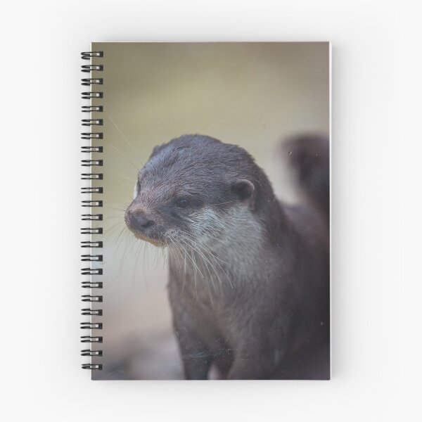 Item preview, Otter Glance designed and sold by Raven-Creative.