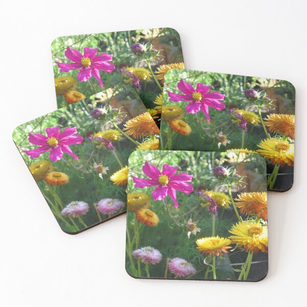 Item preview, Helichrysum, Everlasting Flowers and Cosmos designed and sold by JonDelorme.