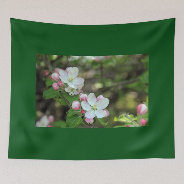 Item preview, Blushing Apple Blossoms designed and sold by Debbie Oppermann.