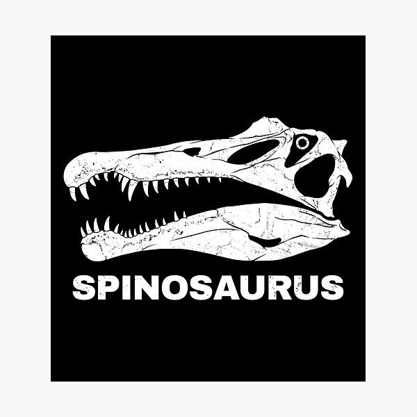 Artikel-Vorschau von Spinosaurus Fossil Schädel, designt und verkauft von NicGrayGraphic.