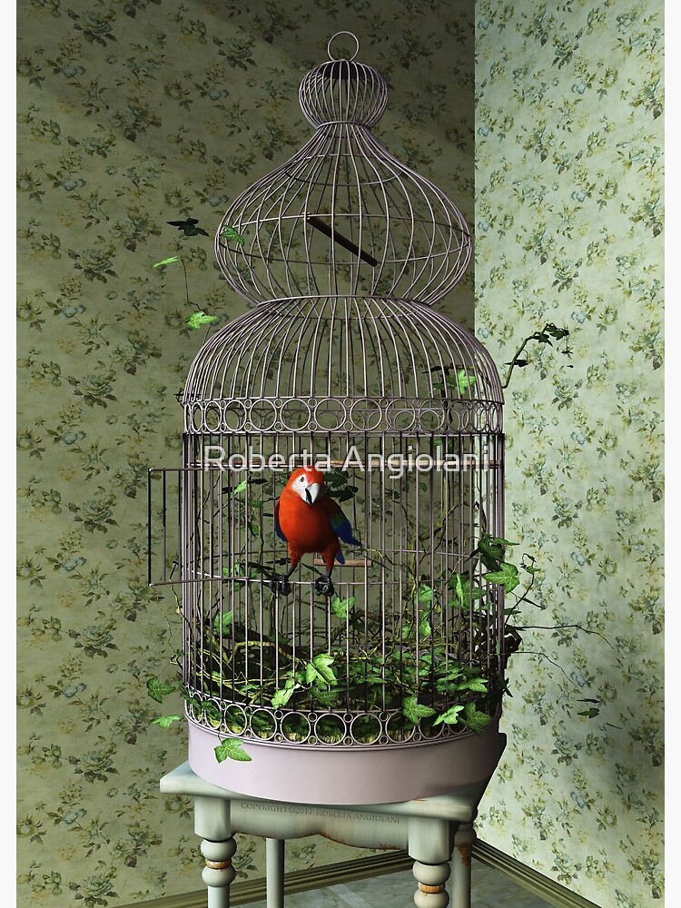 The Parrot Cage Posters Redbubble The Parrot Cage Posters Redbubble